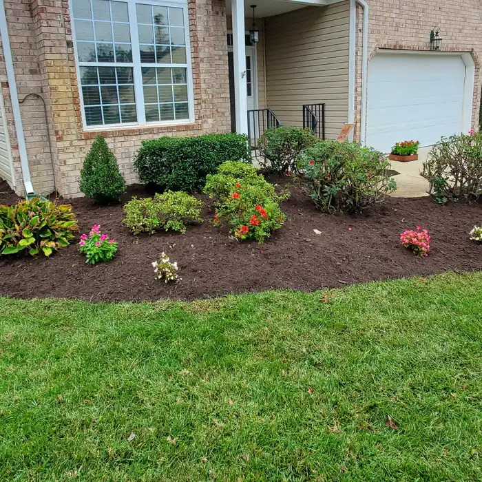 A front bed of dark fresh mulch with flowering shrubs, edged cleanly against the lawn in front of a brick and siding house