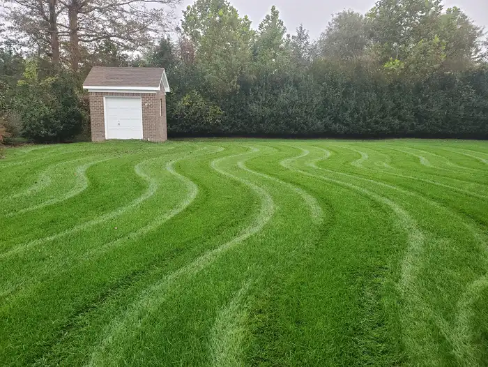A wide lawn cut in long curving stripes, leading to a white garage door in the trees